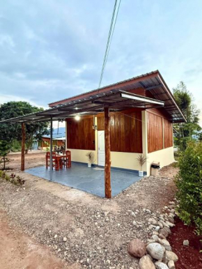 Twins house